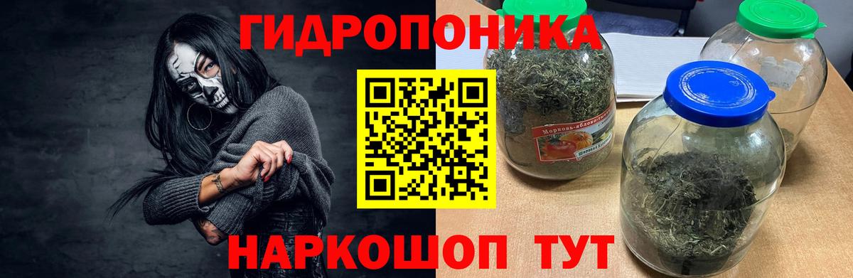 Бошки Шишки сатива  Каннабис MAZAR  Рассказово  Вход с VPN 